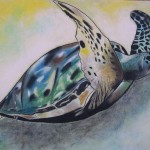 Sea Turtle by Jacyln Williams