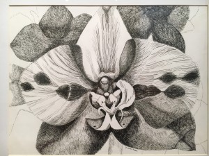Orchid By Mary