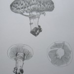 Portabella by Carrie Pollock