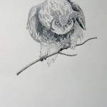 Great Horned Owl by Berijah Jane