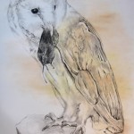 Owl with Mouse by Tara Friel
