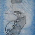 Iguana by Krista Muehlman copy
