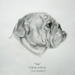 Bulldog by Nella Baling