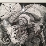 Shells in pen and ink by Starr Yauger
