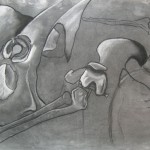 Bone Study, Rory O'Shaughnessey